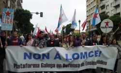 A Plataforma Galega en Defensa do Ensino Público convoca unha concentración para reclamar a paralización dos currículos da LOMCE